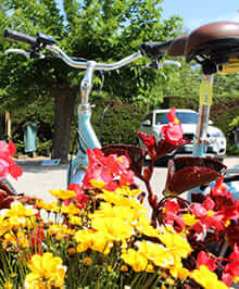 Fahrradverleih auf dem 4-Sterne-Campingplatz Le Parc, Familiencampingplatz im Departement Var