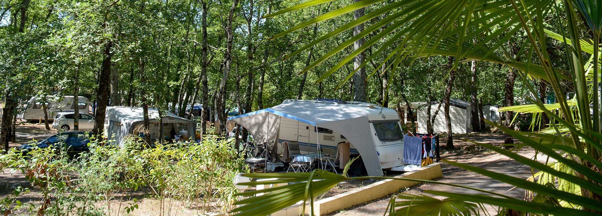 De kampeerplaatsen van camping Le Parc liggen in het midden van ons 3,5 hectare grote bosrijke terrein.