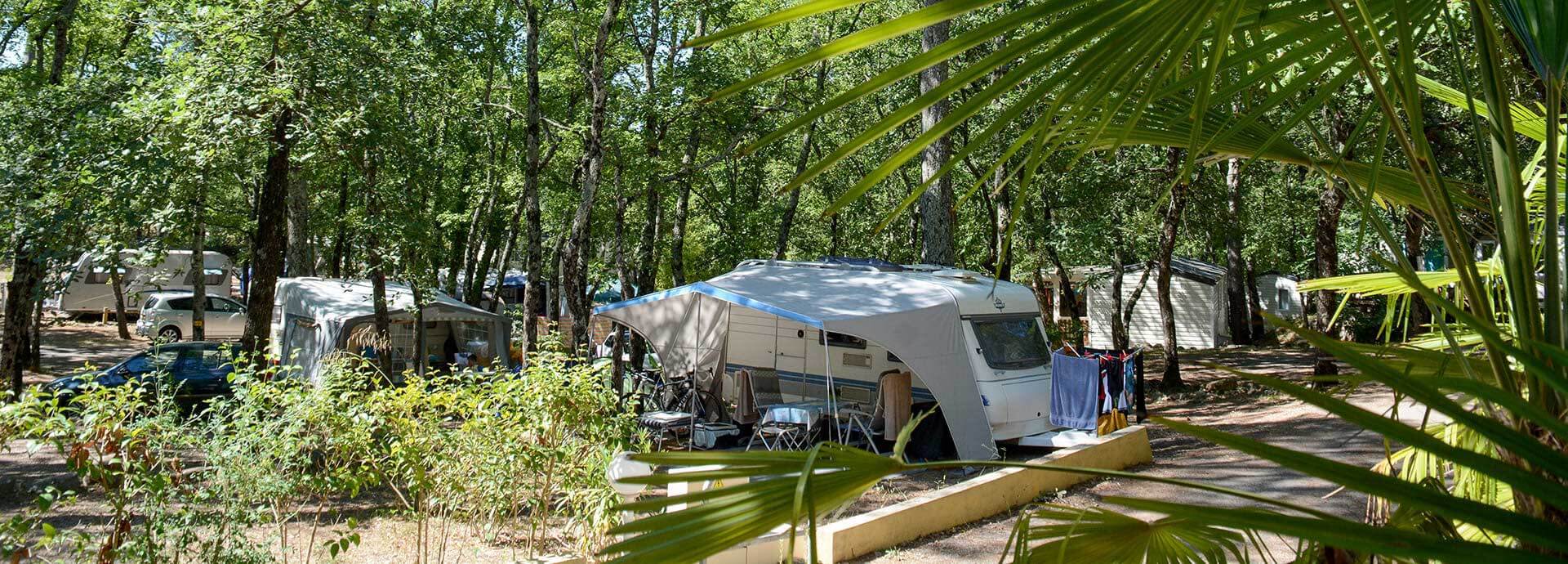 Les emplacements du camping le Parc dans le Var sont situés au cœur de notre domaine boisé de 3,5 hectares.